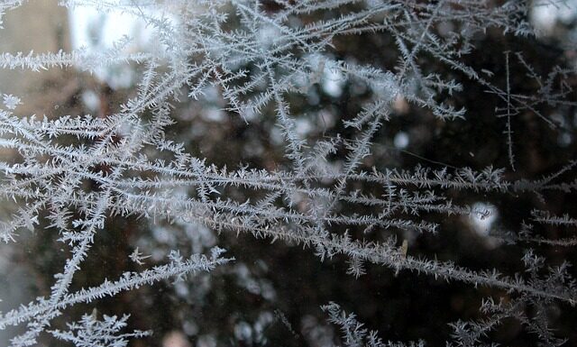 Czy można mrozić mięso peklowane?