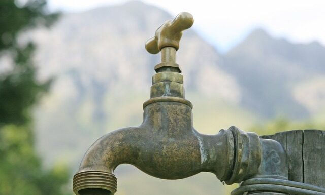 Czym nawadniać kota?