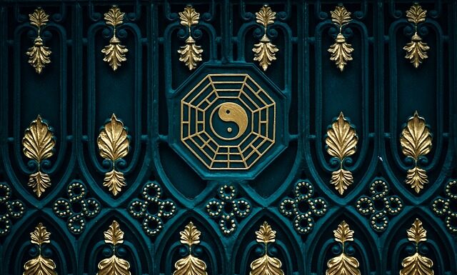 Co można dać kotu zamiast karmy?