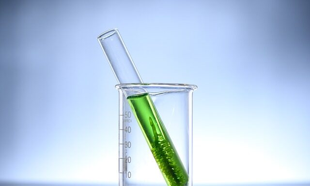 Na co pomaga Chlorella i spirulina?