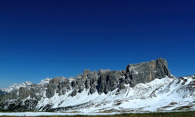 Jaki nawóz dla roślin akwariowych?