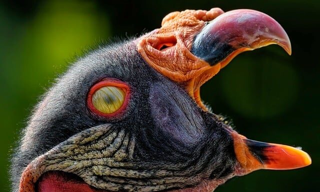 Co oznacza migający kranik w zmywarce?