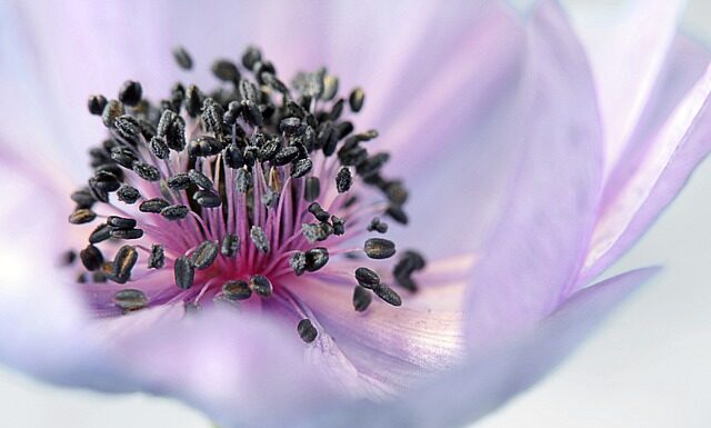 Czy pieczątka bez podpisu jest ważna?