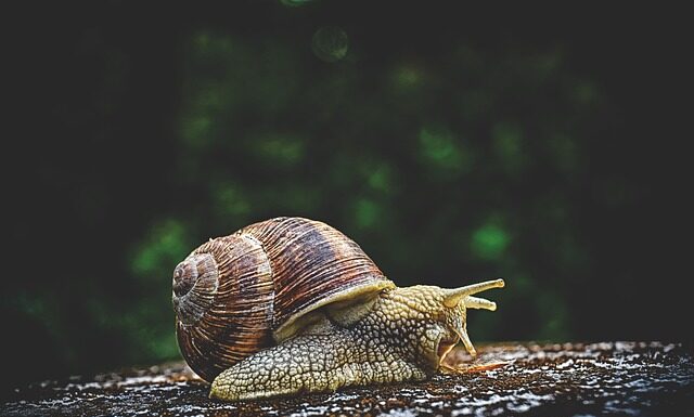 Do czego służy zimne powietrze w suszarce?