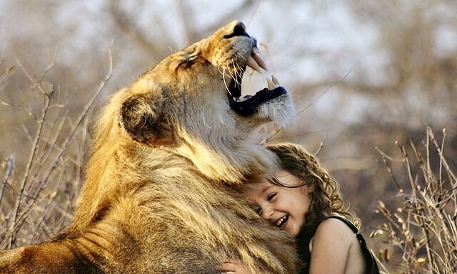 Jaka jest najlepsza suszarka?