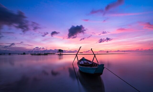 Jaki kolor podłoża w akwarium?