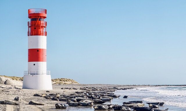Ile laku na jedną pieczęć?