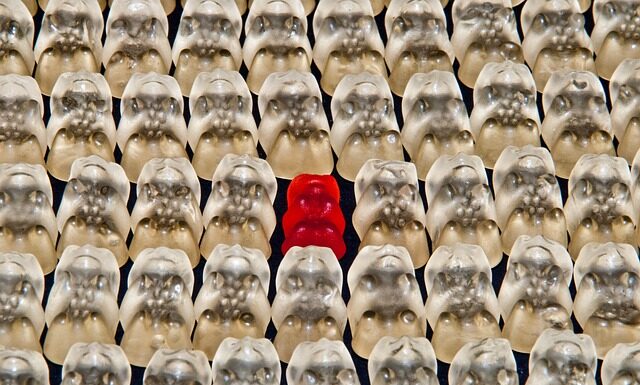 Z czego robi się żelatynę?