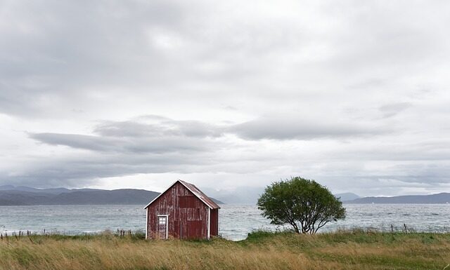 Jak sprawdzić czy solanka jest dobra?