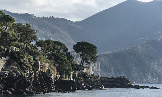 Ile kosztuje polędwica wołowa?