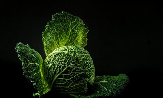 Ile grzybów na 1 kg kapusty?