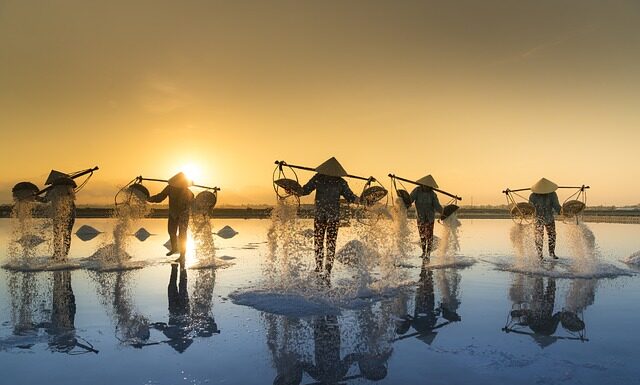 Czy sól peklowa to konserwant?