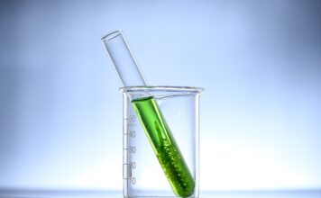 Czy Chlorella usuwa pasożyty? Czy Chlorella usuwa pasożyty?