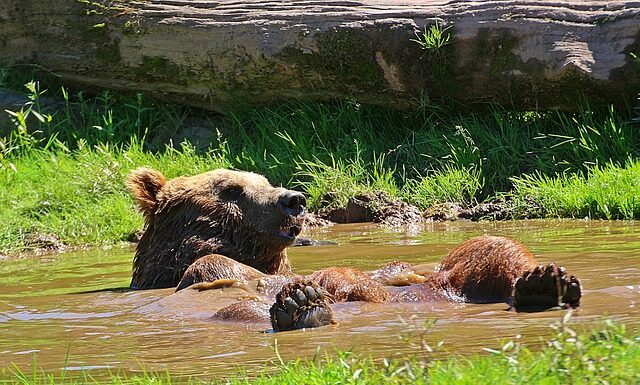Jak odświeżyć tusz do pieczątek?