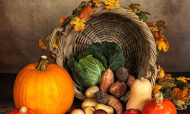 Dlaczego ziemniaki gniją w piwnicy?